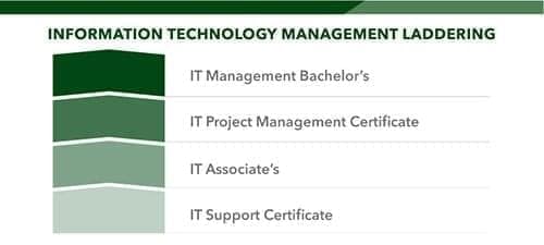 Information Technology Laddering